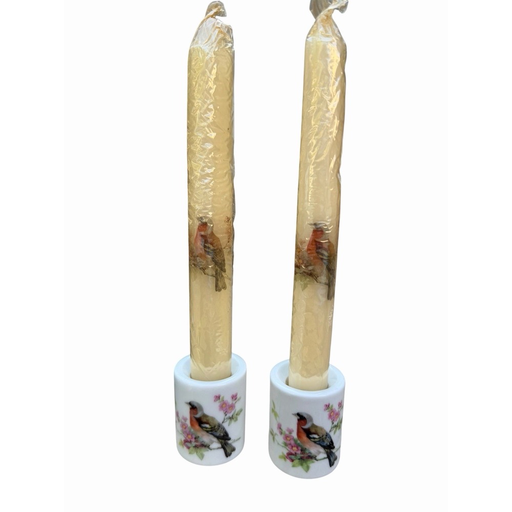 Vintage Set of 2 Taper Candles & Holders Painted Birds and Flowers. Germany MCM